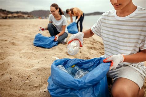 organize  local beach cleanup ecowatch