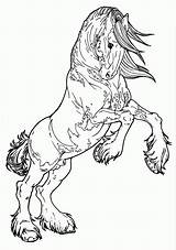 Coloring Pages Horses Heads Ribbon Print Horse Head Popular sketch template