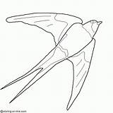 Hirondelle Colorear Swallow Aves Oiseau Coloring Dibujos Primavera Gratuit Golondrina Coloriages sketch template
