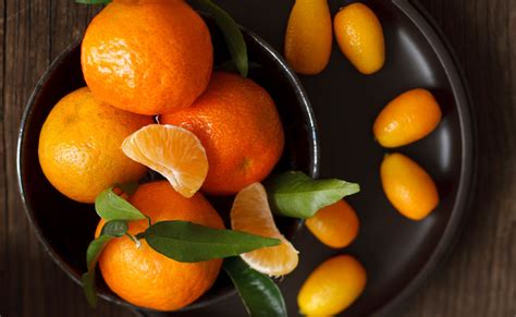 desserts mit mandarinen orangen  gustoat