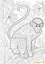 Monkey Pages Climbing Coloring Tree Color Kids Adults Hard Print sketch template