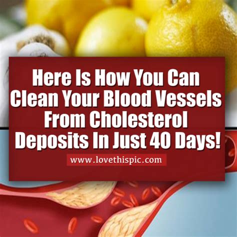 clean  blood vessels  cholesterol deposits