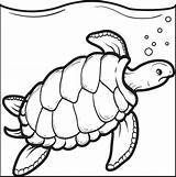 Turtle Coloring Pages Swimming Sea Printable Kids Sheets Drawing Cute Color Print Animal Savings Daylight Time Shell Turtles Book Getcolorings sketch template