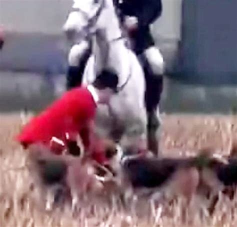 warwickshire police investigate atherstone hunt for using hounds to