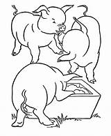 Pigs Porcos Comendo Colorir Cerdo Colouring Cerdos Tudodesenhos Honkingdonkey sketch template