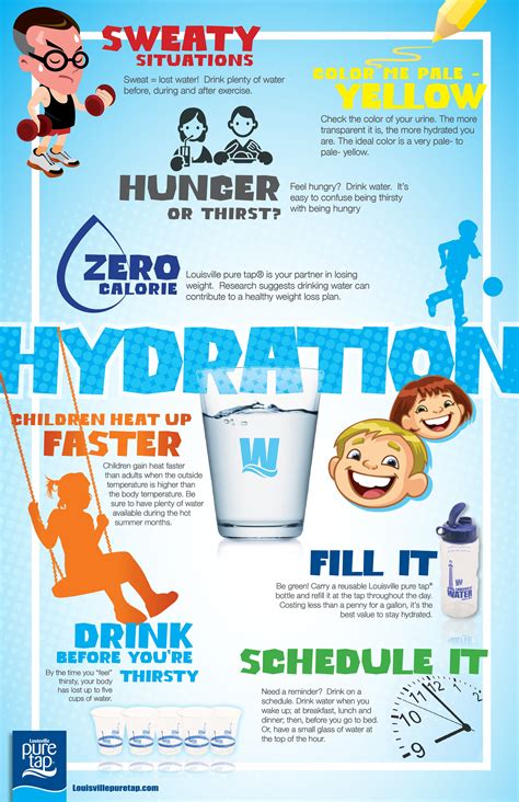 stay hydrated  summer infographic health water facts