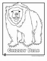Coloring Animals Pages Endangered Bear Grizzly Animal Species North America Extinct Colouring Kids Printable Clipart Activities Gif Forest Wild Books sketch template
