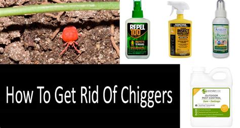 rid  chiggers scientifically approved methods sprays