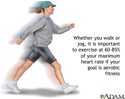 exercise  heart rate medlineplus medical encyclopedia image