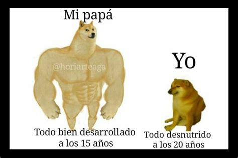 Los 10 Mejores Memes Del Perro De Antes Y Ahora De10