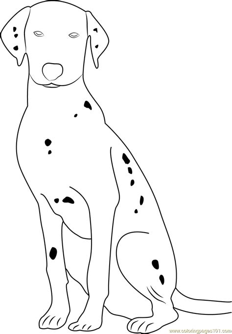 cute dalmatian dog coloring page  printable coloring