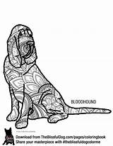 Bloodhound Theblissfuldog sketch template