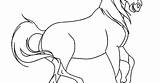 Spirit Coloring Horse Pages Herd Para Colorear Indomable El Corcel Dibujos Getcolorings Caballos sketch template