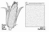 Maze Corn Cob Thanksgiving Word Search Meal Printables Pages Dixiecrystals sketch template