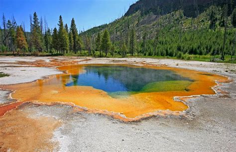 united states lets   yellowstone