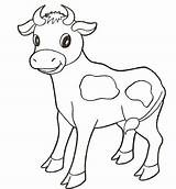 Coloring Longhorn Pages Getcolorings Cow Longhorns Texas Cute Baby sketch template