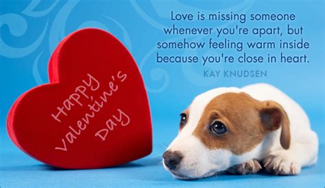 missing you valentine s day holidays ecard free
