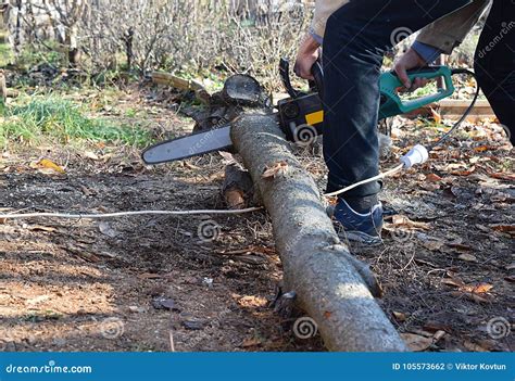 men  sawing wood   electric green  stock photo image