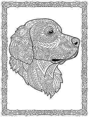 dog coloring pages  adults dog coloring book dog coloring page