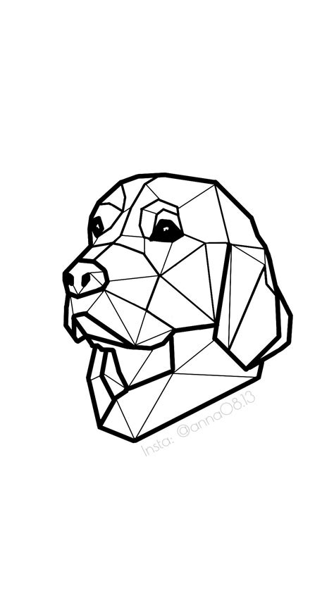 instagram atanna golden retriver geometric dog geometric shapes