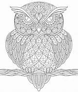 Sowa Antystresowa Kolorowanka Zentangle Zentagle Druku Owl Drukowania Malowankę Wydrukuj Drukowanka sketch template