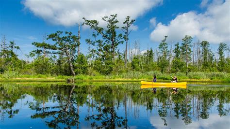 birding kayaking fishing hunting  nc wildlife refuges visitnccom