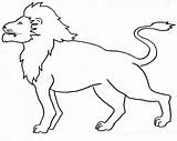 Mewarnai Hewan Paud Binatang Singa Papan Sketsa sketch template