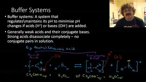 buffer systems natural buffer systems youtube