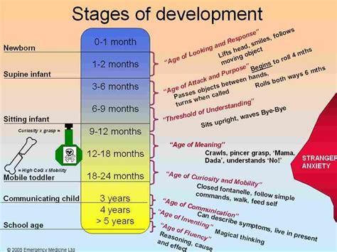related image childhood development stages child development stages child development