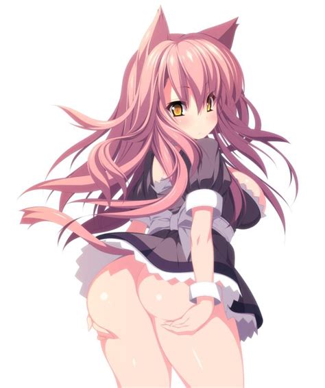 hh 2 busty neko maids monster girls pictures pictures sorted by rating luscious
