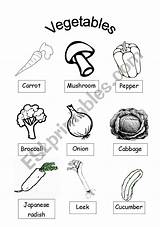 Vegetable Coloring Worksheet Sheet Vegetables Worksheets Esl Vocabulary Food Preview sketch template