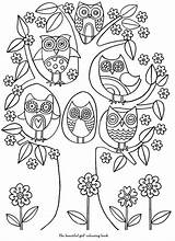 Hiboux Therapie Adulte Hibou Dessiner Colouring Kleurplaten Owls Doodle Chouette Uil Magique Coloriages 나무 도안 Thérapie Visiter Mevlut Duman Juil sketch template