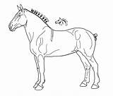 Lineart Horses sketch template