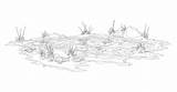 Swamp Reeds sketch template