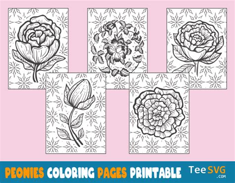peony coloring page printable   pages peonies file