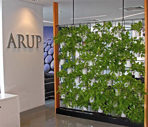 green wall   office  vertical wall gardens    privacy partition
