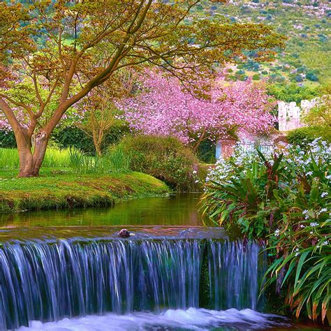 spring scenes wallpaper wallpapersafari