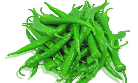 green chilly  rs kilogram fresh vegetables  vellore id