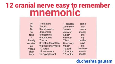 remember cranial nerves mnemonic images   finder
