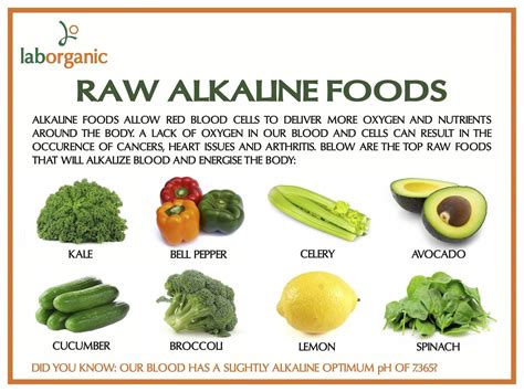 Top Alkaline Foods Top Alkaline Foods Cancer Fighting
