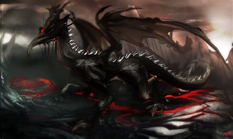 black dragon wallpaper dragon artwork fantasy black dragon dragon