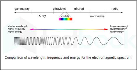 solved waves include visible light waves  rays gamma rays