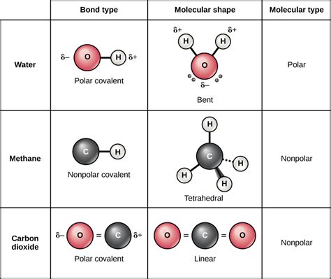 difference  polar  nonpolar molecules definition formation