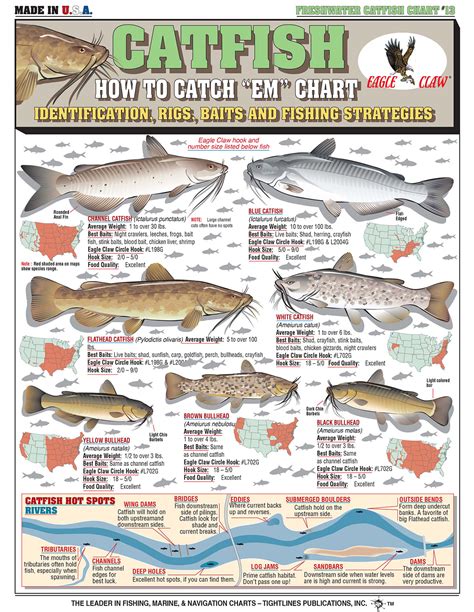 day   catch catfish common sense evaluation