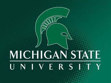 woman sues msu alleges  basketball players raped