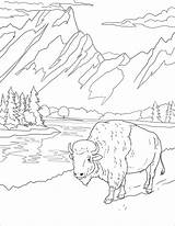 Mountain National Park Coloring Teton Grand sketch template
