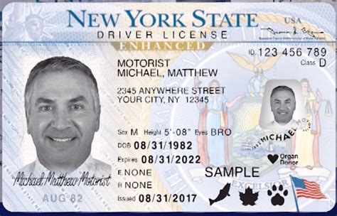 real id enhanced drivers license