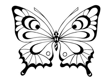 butterfly coloring page butterfly stencil butterfly drawing