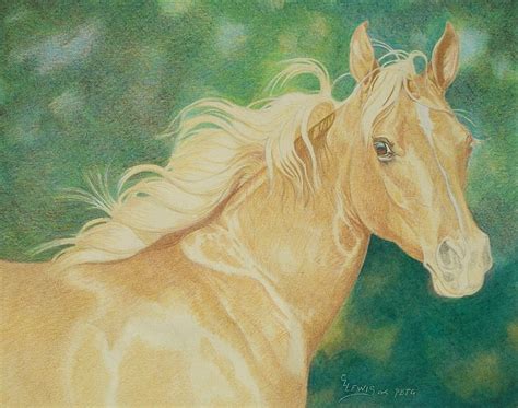 draw  horse  colored pencils step  step drawing tutorial