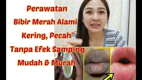 Cara Membuat Bibir Merah Alami Mudah Murah And Terbukti Youtube